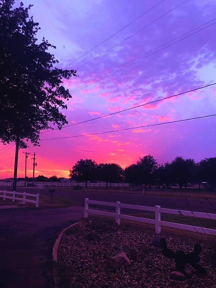 violet✧*｡ (@violettweets_) on Twitter photo 