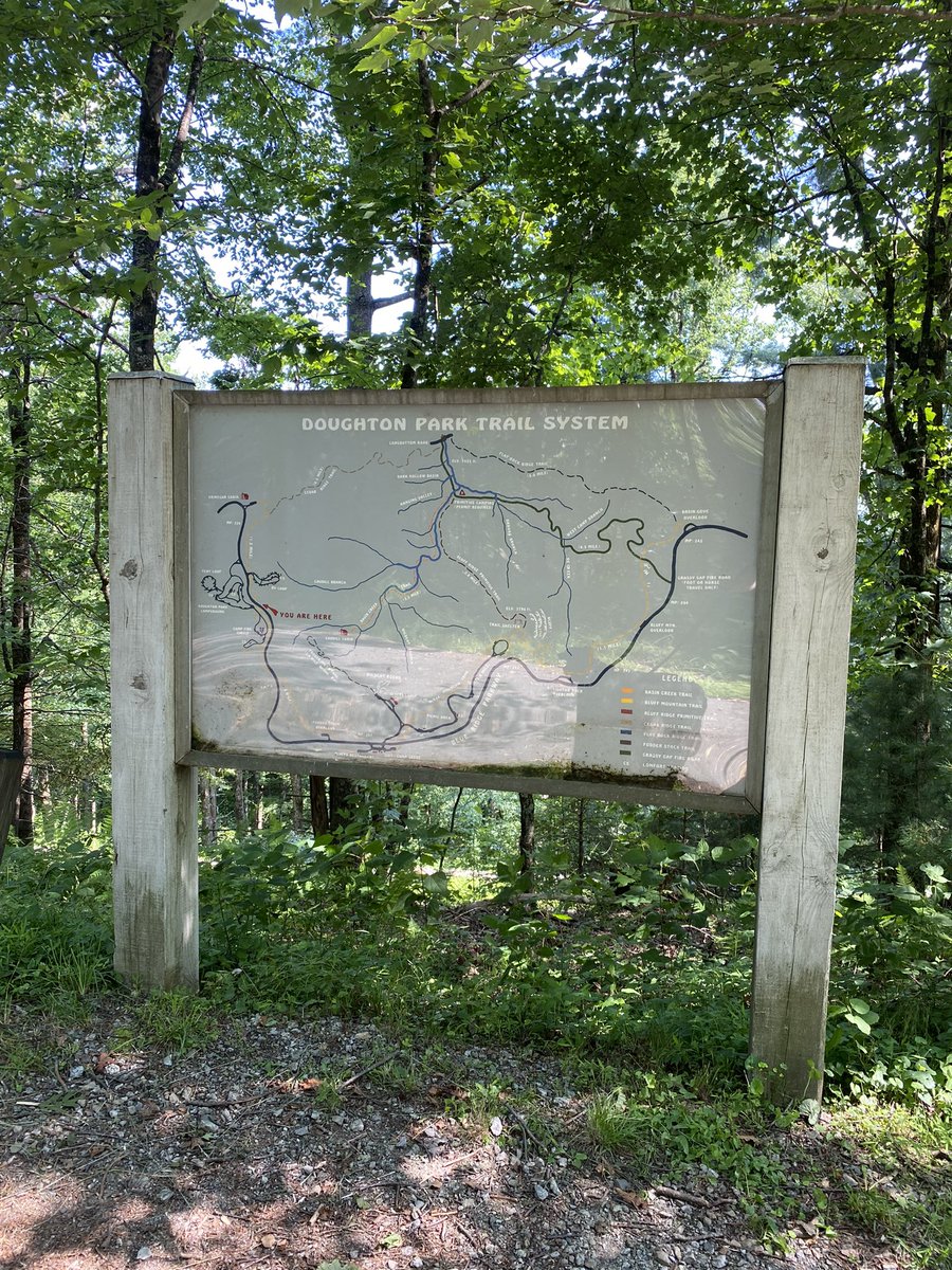 Jim Mixson (@mixsonjim) on Twitter photo Beautiful 4th of July afternoon hiking the Mountains to Sea Trail <a href="/NCMST/">Mountains-to-Sea Trail</a> in Doughton Park on the newly reopened section of the Blue Ridge Parkway <a href="/BlueRidgeNPS/">Blue Ridge Parkway</a> #hiking #northcarolina Beautiful 4th of July afternoon hiking the Mountains to Sea Trail <a href="/NCMST/">Mountains-to-Sea Trail</a> in Doughton Park on the newly reopened section of the Blue Ridge Parkway <a href="/BlueRidgeNPS/">Blue Ridge Parkway</a> #hiking #northcarolina