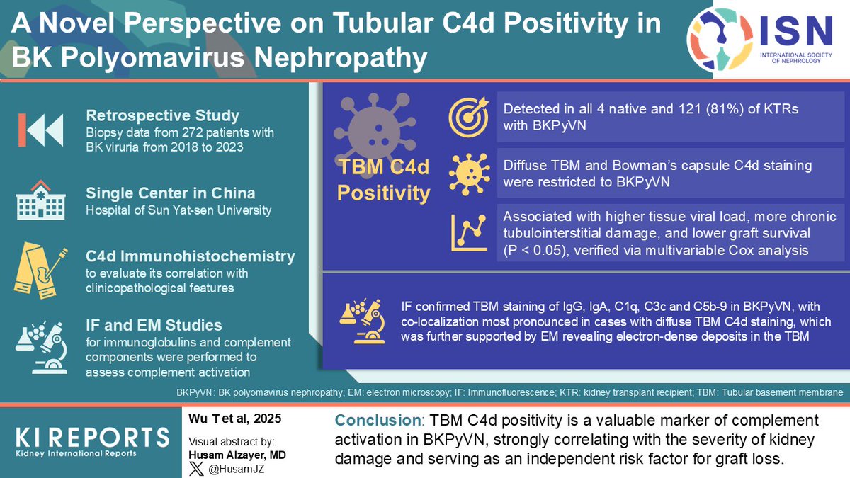 KIReports (@kireports) on Twitter photo A Novel Perspective on Tubular #C4d Positivity in #BK #Polyomavirus Nephropathy
#VisualAbstract by <a href="/Husamjz/">Husam Alzayer</a>
kireports.org/article/S2468-… A Novel Perspective on Tubular #C4d Positivity in #BK #Polyomavirus Nephropathy
#VisualAbstract by <a href="/Husamjz/">Husam Alzayer</a>
kireports.org/article/S2468-…