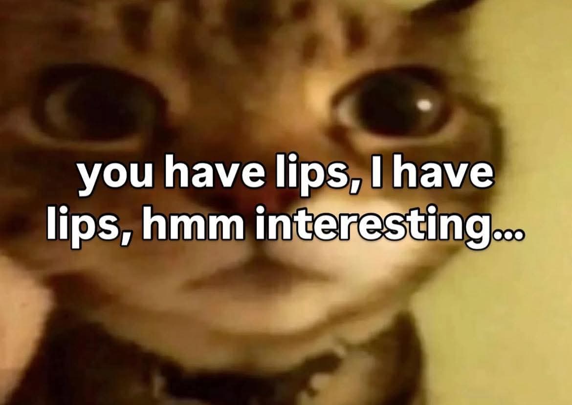 🤷