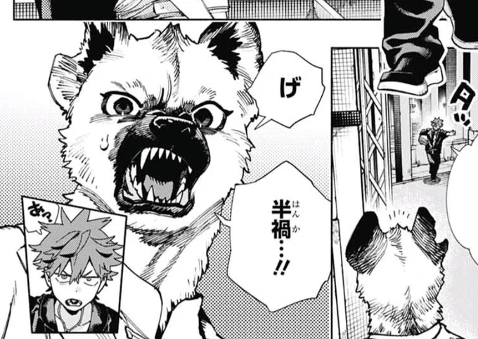 極楽街27話
なんか……味方組織の新獣人キャラ来たぞ!?
名前は汪(ワン)
戦闘系っぽい服装じゃなく小脇にバインダーだかファイルを抱えてたのでヨキと同じく裏方っぽい
もう敵やモブじゃない獣人出なさそうとか思ってただけにありがたすぎ
https://t.co/a32uldXT2Y
https://t.co/d0TEx93ea0 