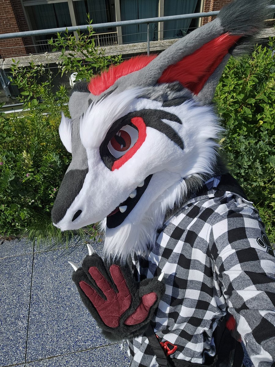 There's a new wedge shaped friend in town!! Anthrocon marks the official debut of Storm! Major shoutout to <a href="/AbzuBarkShark/">Abzû (Fursuit comms open)</a> for bringing my boy to life!
Happy #FursuitFriday!!! ❤️