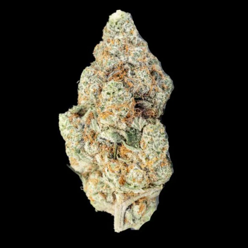 Cportmerch's tweet photo. https://t.co/fW8p2qjth3
Adult Use Only 21+ π¨
Thca King discount code: CPORT πΈ
#ThcaKing #BulkFlower #Wholesale
4TH OF JULY SALE 25% OFF SITE WIDE THRU FRIDAY! DISCOUNT APPLIED AT CHECKOUT
Georgia Pie Indoor THCA Flower Full Size Buds
Another indoor hitter with over 31% THCA is Georgia Pie THCA Flower.
Grown organically in a state of the art indoor facility, THCA King's Georgia Pie is a hybrid that's both euphoric and uplifting.