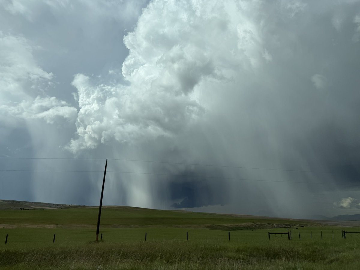 Tryna look cute near Amsterdam, MT #mtwx