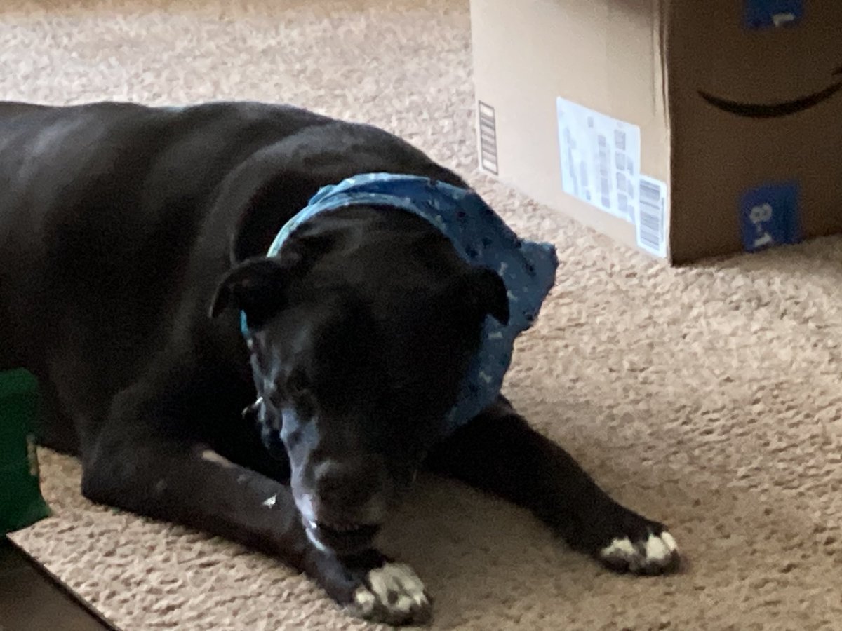 Duke has been feeling under the weather, vet Wednesday, test all day Thursday, won’t know the prognosis until next week, I just feel so powerless