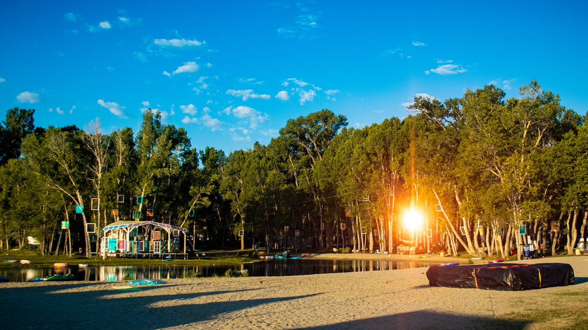 kid carter tweet media