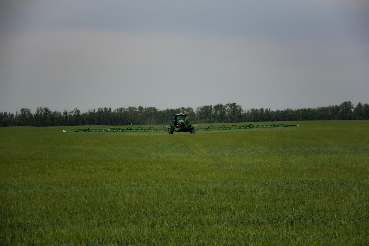 The boys are out spraying the <a href="/SeCan/">SeCan</a>  CDC Durango Barley, Fungicide season is in full swing!!

#choosecertifiedseed #farmingalberta #barley #cropprotection