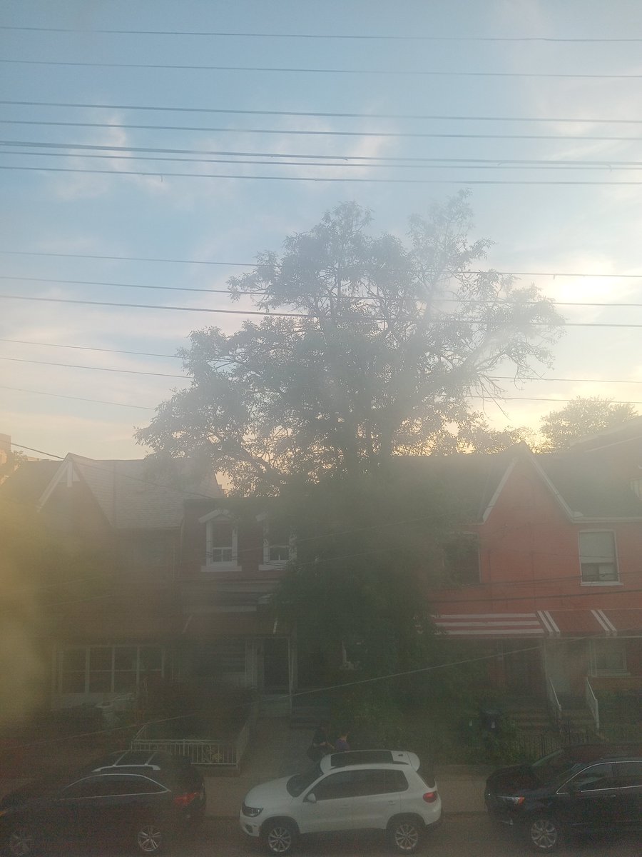 sm3i39333's tweet image. Light rain coming soon with the sunsetting as well #Canada #Weather #WeatherReport @RemyStrmSpotter