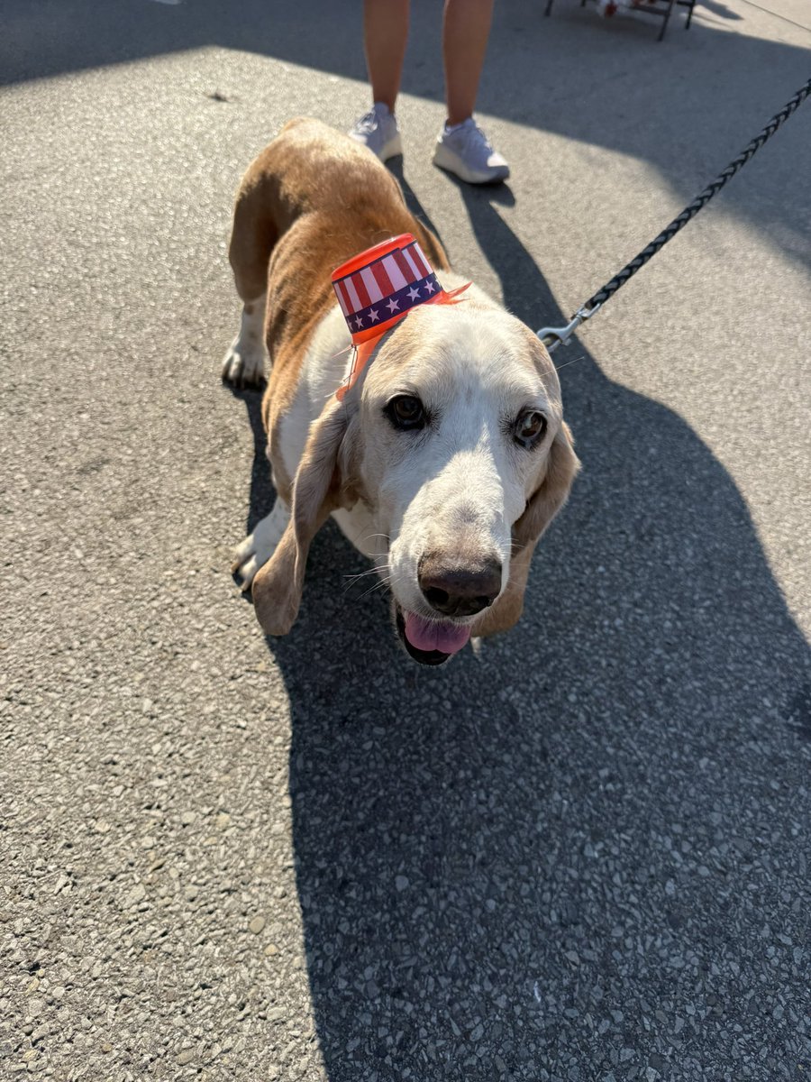 Tricia EVA PA🇺🇸 (@traulbach) on Twitter photo Great July 4th in Slippery Rock, Butler County PA 📍at <a href="/JondavidRLongo/">Mayor Jondavid “JD” Longo</a> Independence Day celebration 🇺🇸🇺🇸
So thankful to the Butler County GOP for having me and <a href="/_Sir_Willie/">Will Austin</a> again today!!
Met Maria Battista and Katie Gearhart, passed out over 100 vote no to retention flyers and Great July 4th in Slippery Rock, Butler County PA 📍at <a href="/JondavidRLongo/">Mayor Jondavid “JD” Longo</a> Independence Day celebration 🇺🇸🇺🇸
So thankful to the Butler County GOP for having me and <a href="/_Sir_Willie/">Will Austin</a> again today!!
Met Maria Battista and Katie Gearhart, passed out over 100 vote no to retention flyers and