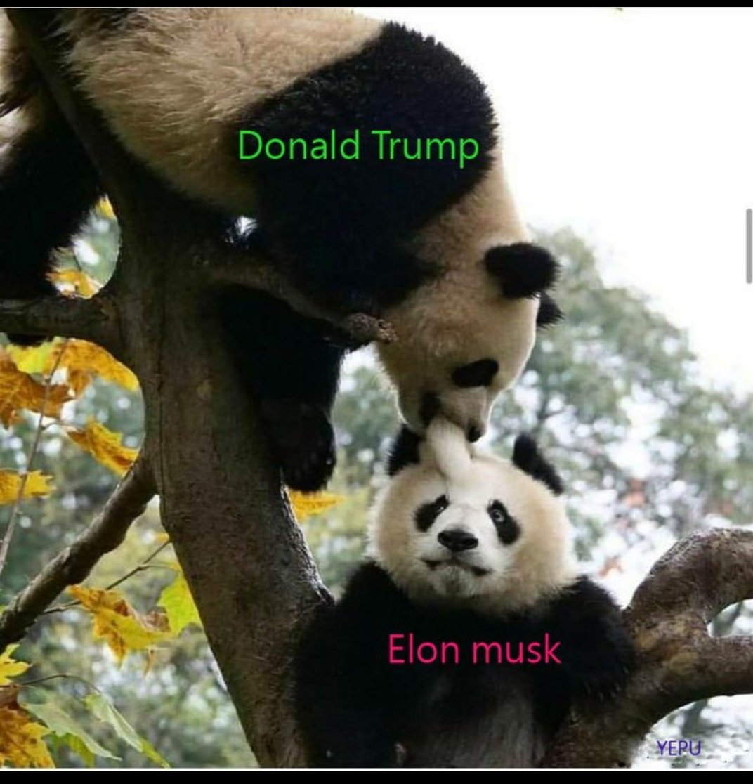 July 2025:                                                   President Trump and Elon Musk have escalated their feuding in recent days.   #civilwar