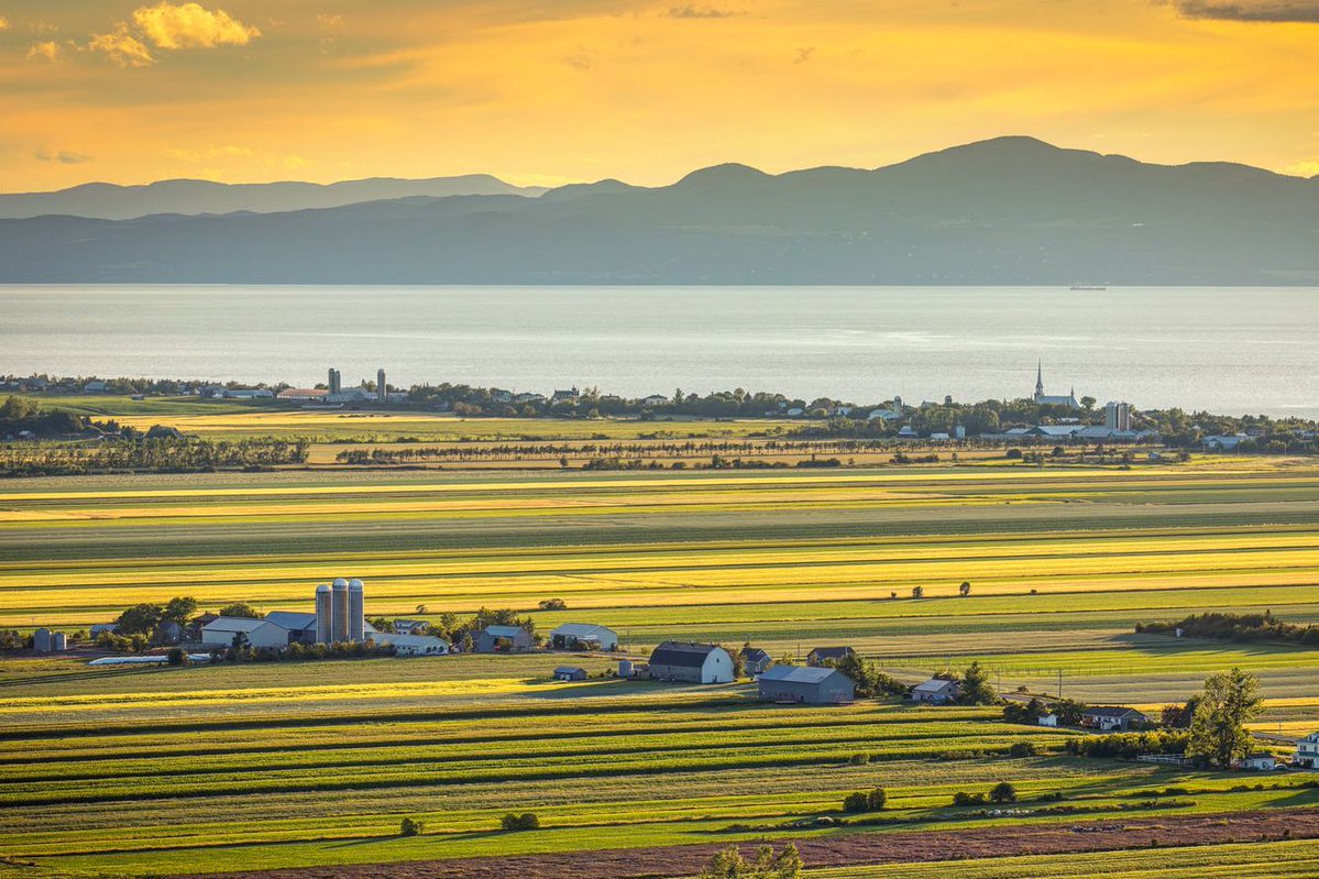 simontremblay81's tweet image. Une petite randonnée qui révèle de beaux points de vue sur Kamouraska... #BasSaintLaurent #BeautéduQuébec
Titre et crédit photo: Mathieu Dupuis