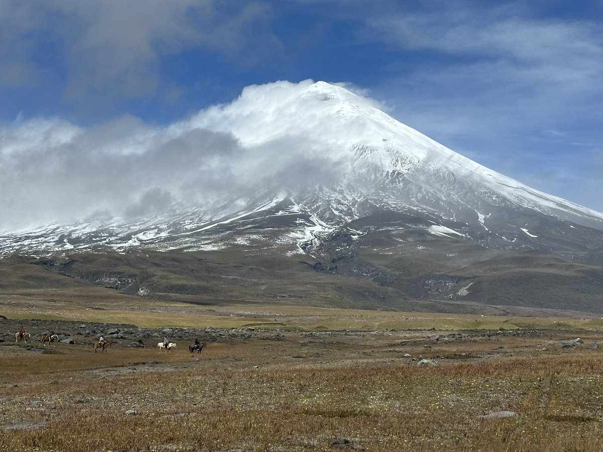 Amazing views plus grazing systems in the Andes of South America. 🇪🇨 Clovers between 3000 to 4500 masl.