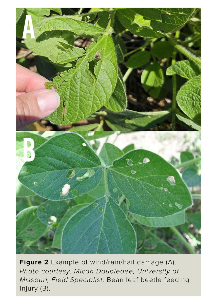 Kim Lawlor tweet media