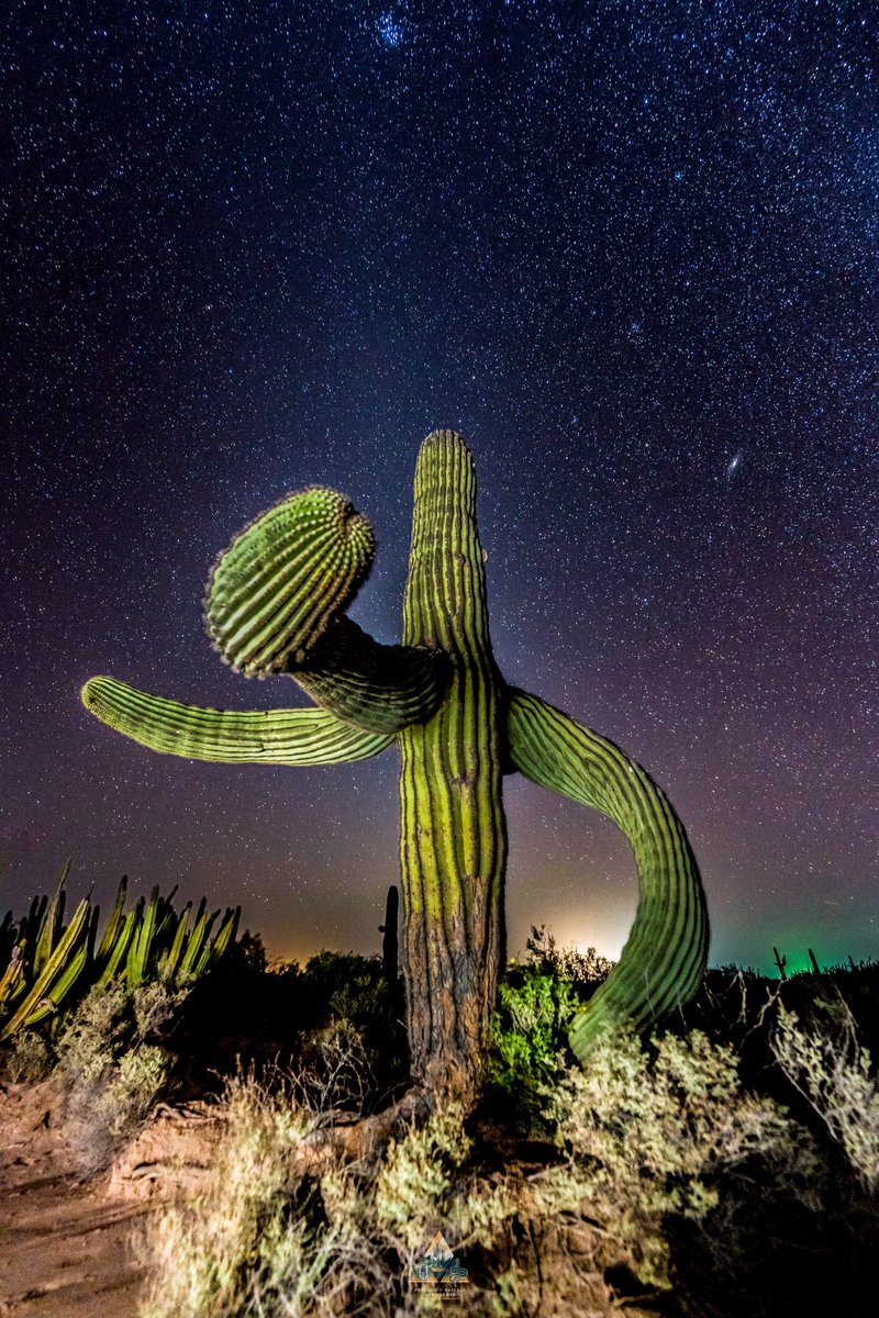 GGerardox2's tweet image. Mi oficina 🌵 ⭐️