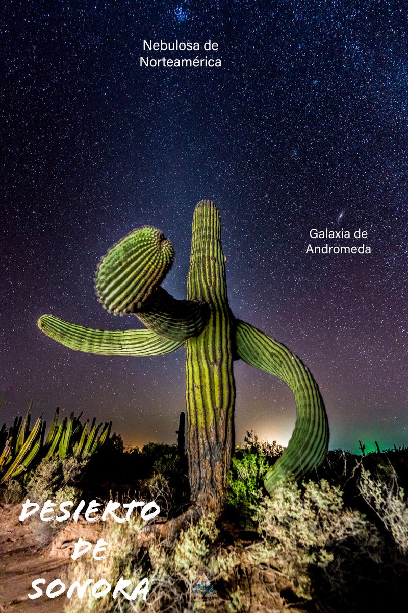 GGerardox2's tweet image. Mi oficina 🌵 ⭐️