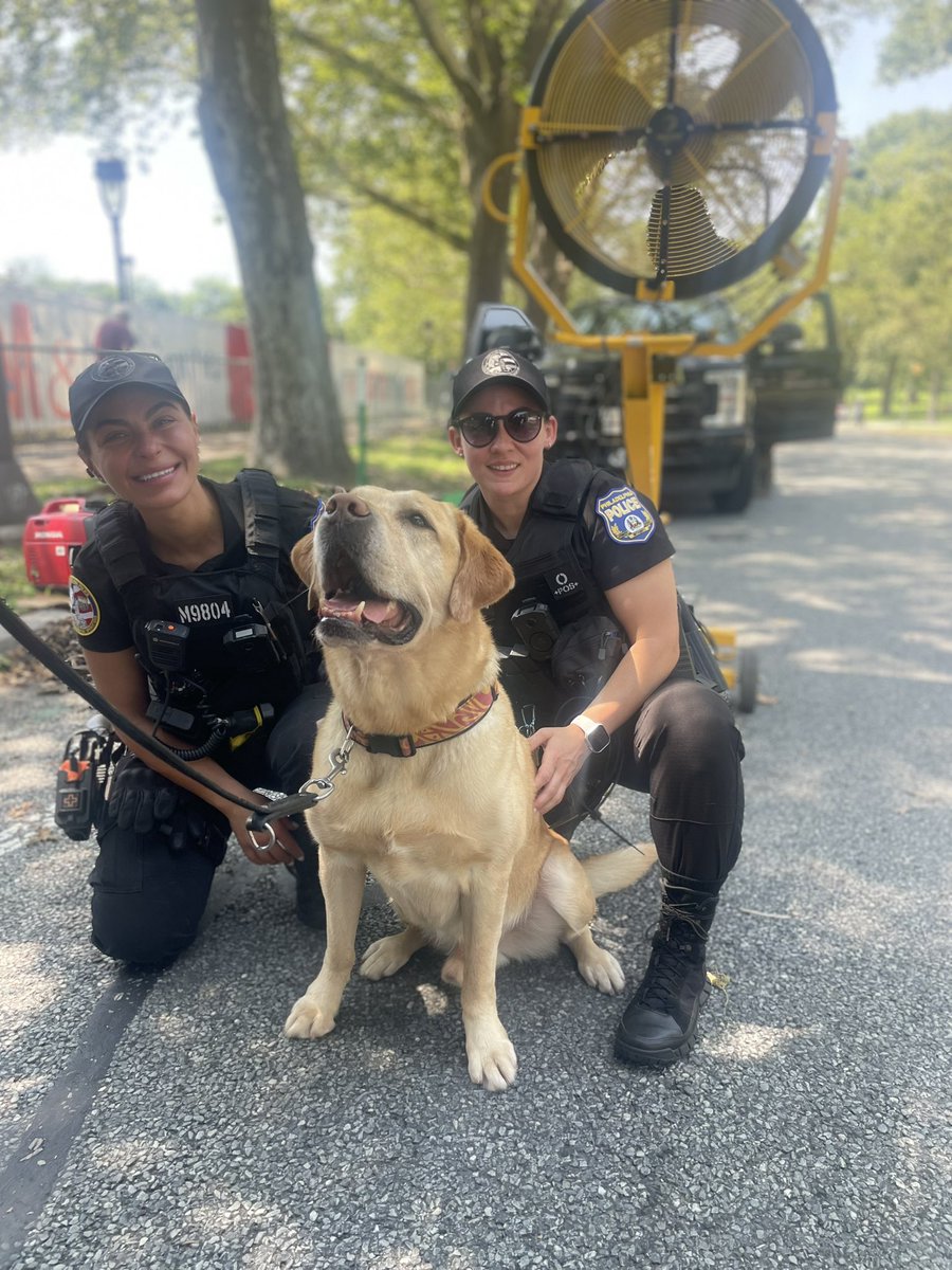 PPDCanineUnit's tweet image. After a long day on duty, our @PhillyPolice 4 legged heroes are all smiles 🐾 nothing beats some well deserved ❤️ from the squad #4thofJuly #WelcomeAmerica
