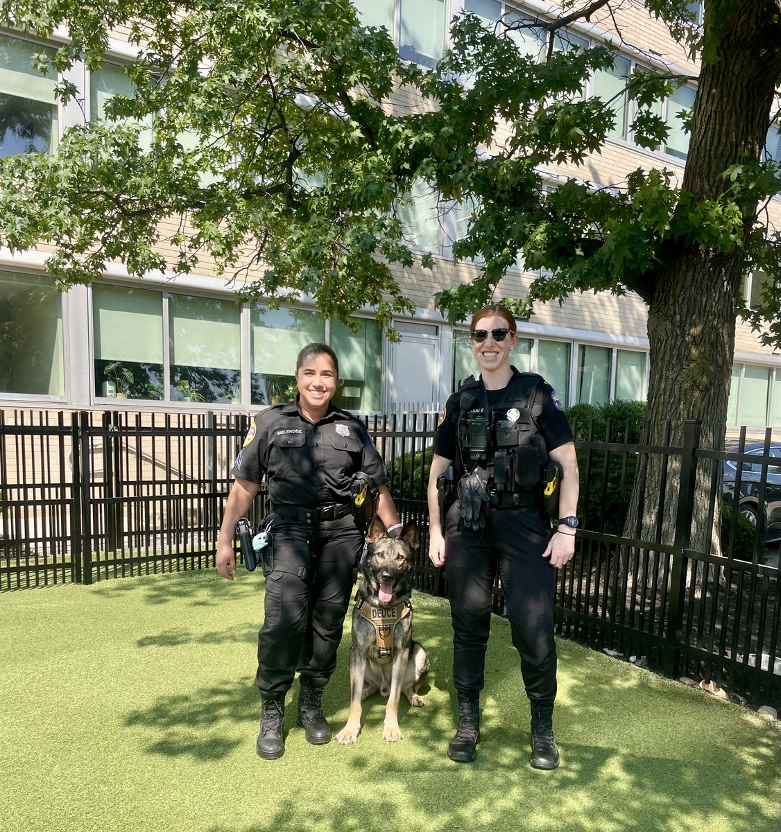 PPDCanineUnit's tweet image. After a long day on duty, our @PhillyPolice 4 legged heroes are all smiles 🐾 nothing beats some well deserved ❤️ from the squad #4thofJuly #WelcomeAmerica