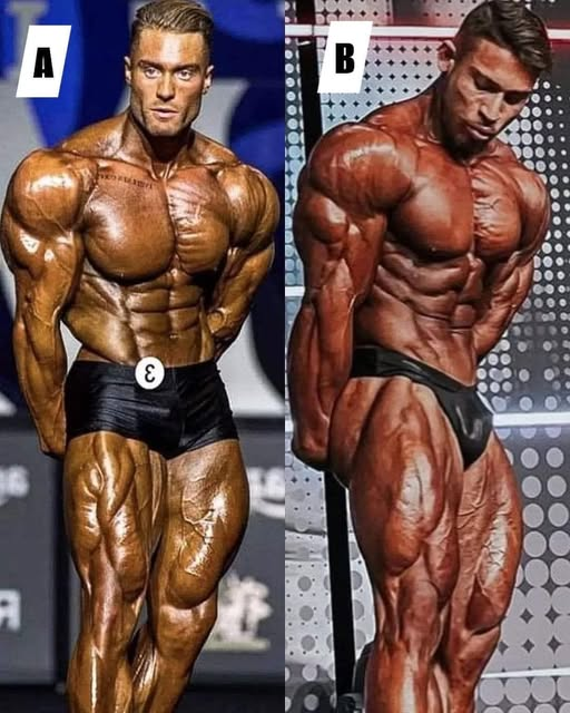Bodybuilding and Fitness Tips tweet media