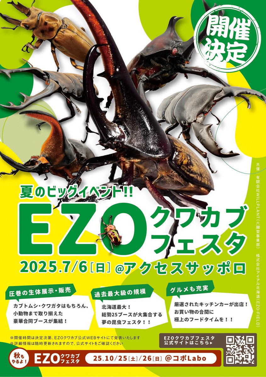 明日は、編集長が、北海道のイベントに参加させて頂きます。 昆虫標本 