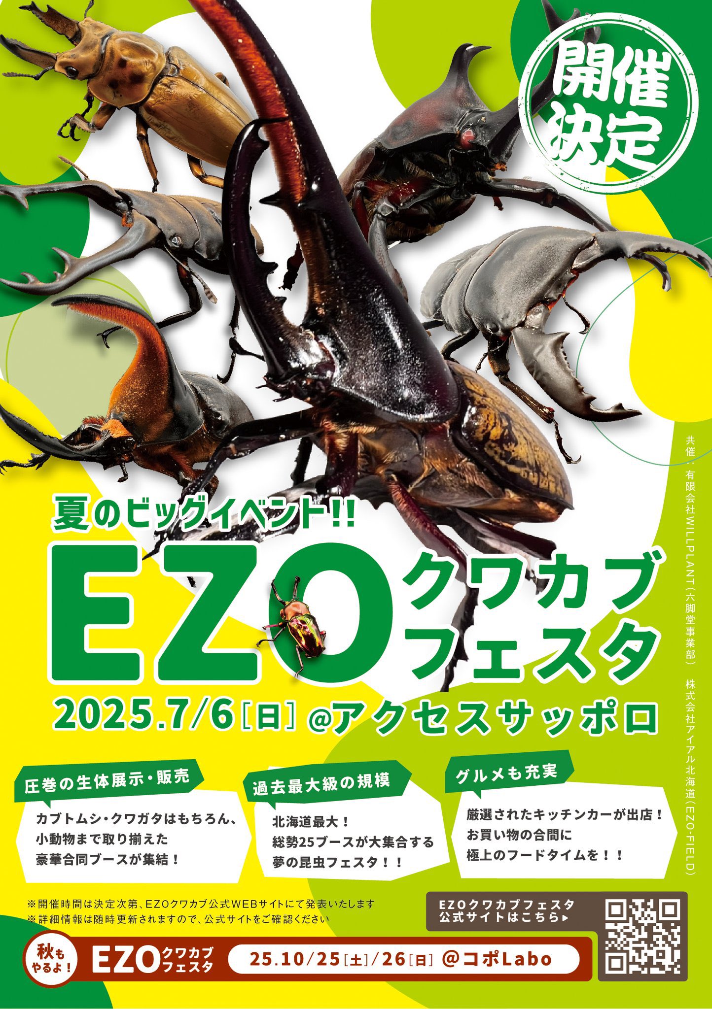 【中古】 マニフェスト進化論 地域から始まる第二の民権運動/生産性出版/北川正恭 Amazon.co.jp: 北川 正恭: 本