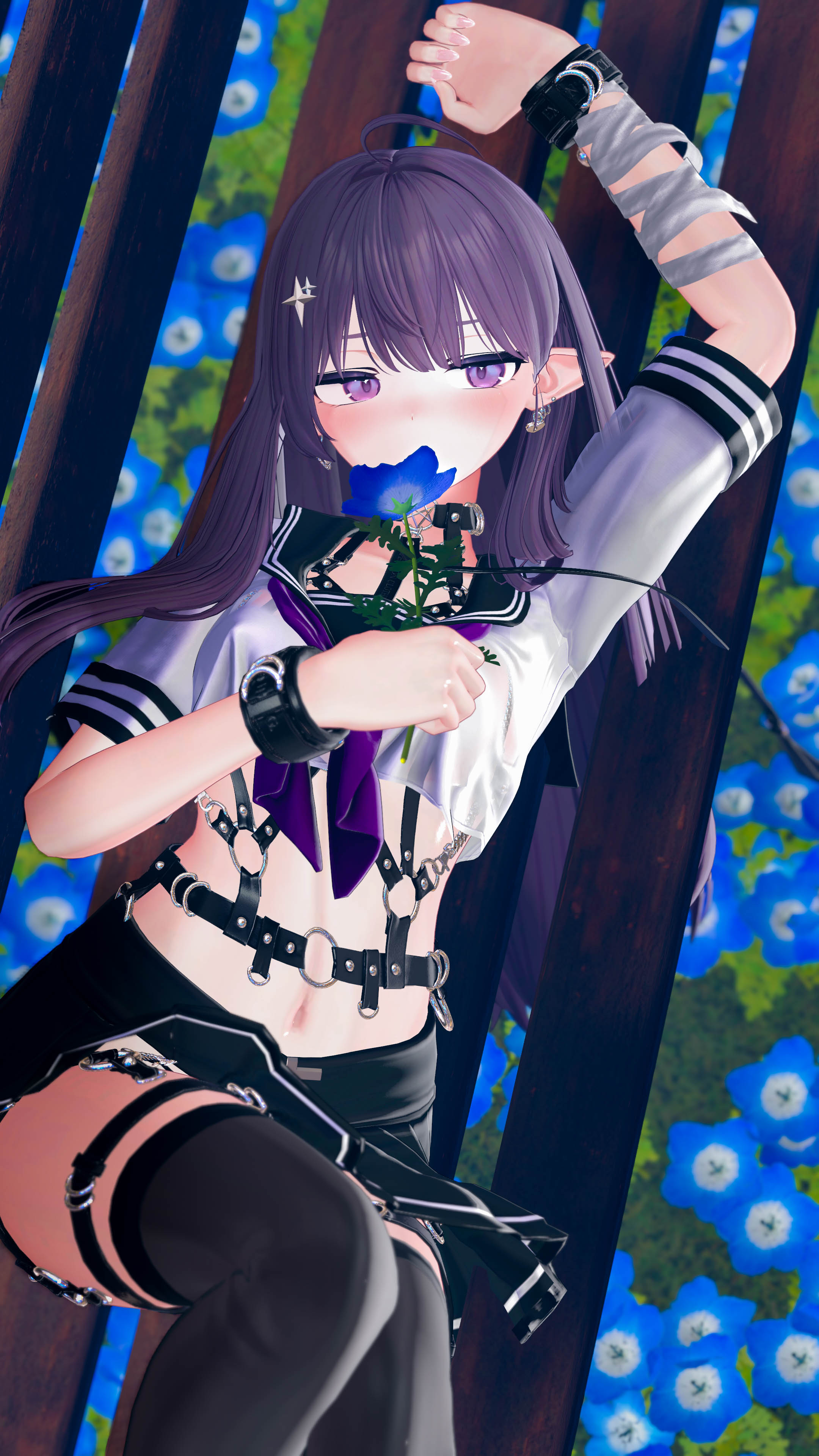 Tweet Image