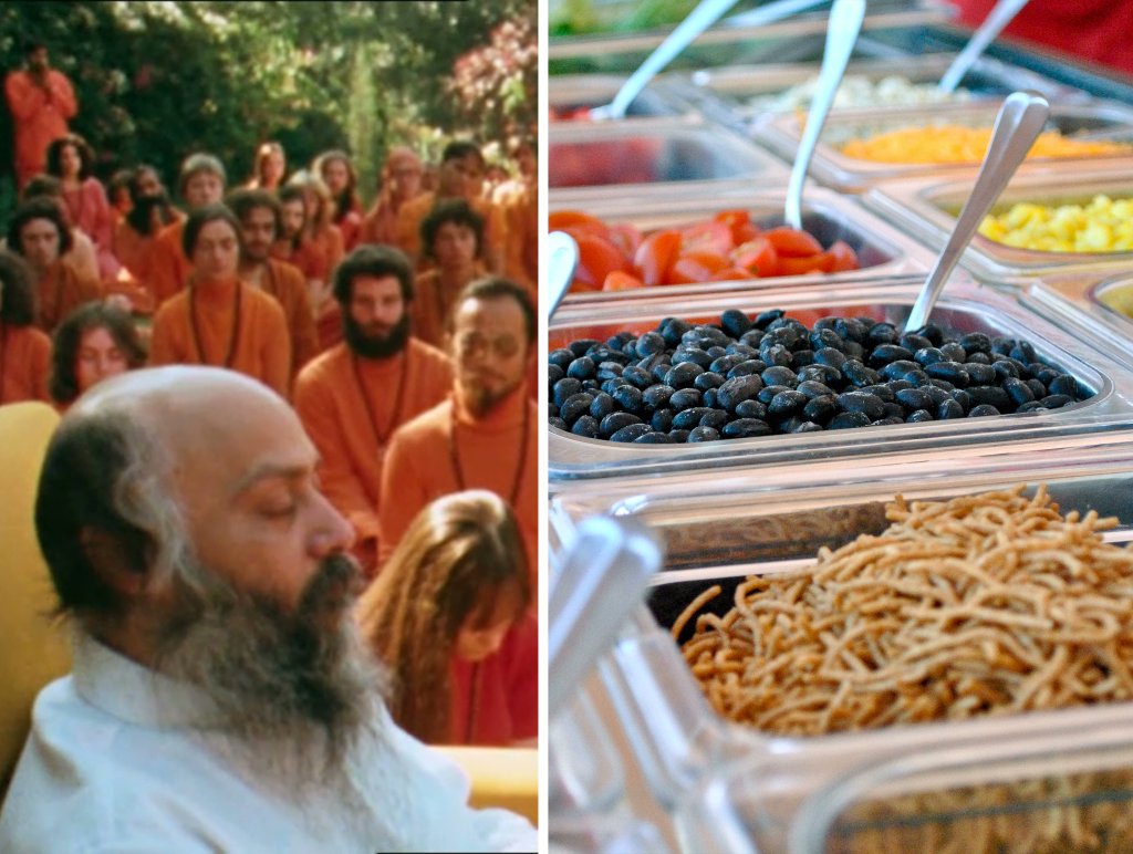 historyinmemes's tweet image. In 1984, the Rajneeshee cult contaminated salad bars with salmonella in an Oregon city, aiming to sicken residents and sway local elections in favor of their candidates. This incident remains the largest bioterrorist attack in U.S. history.