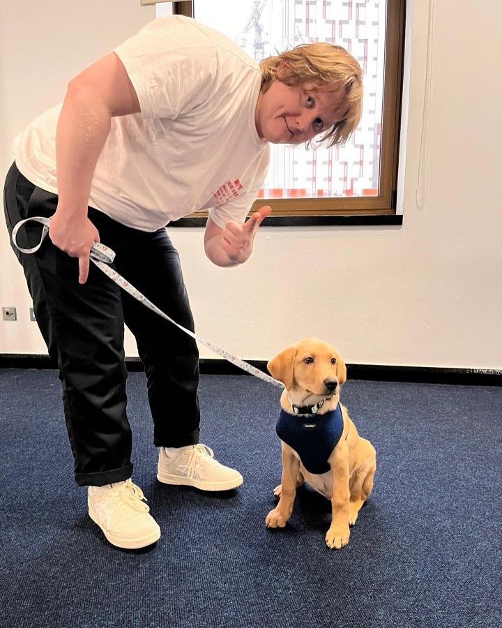 LewisCapaldi875's tweet image. 