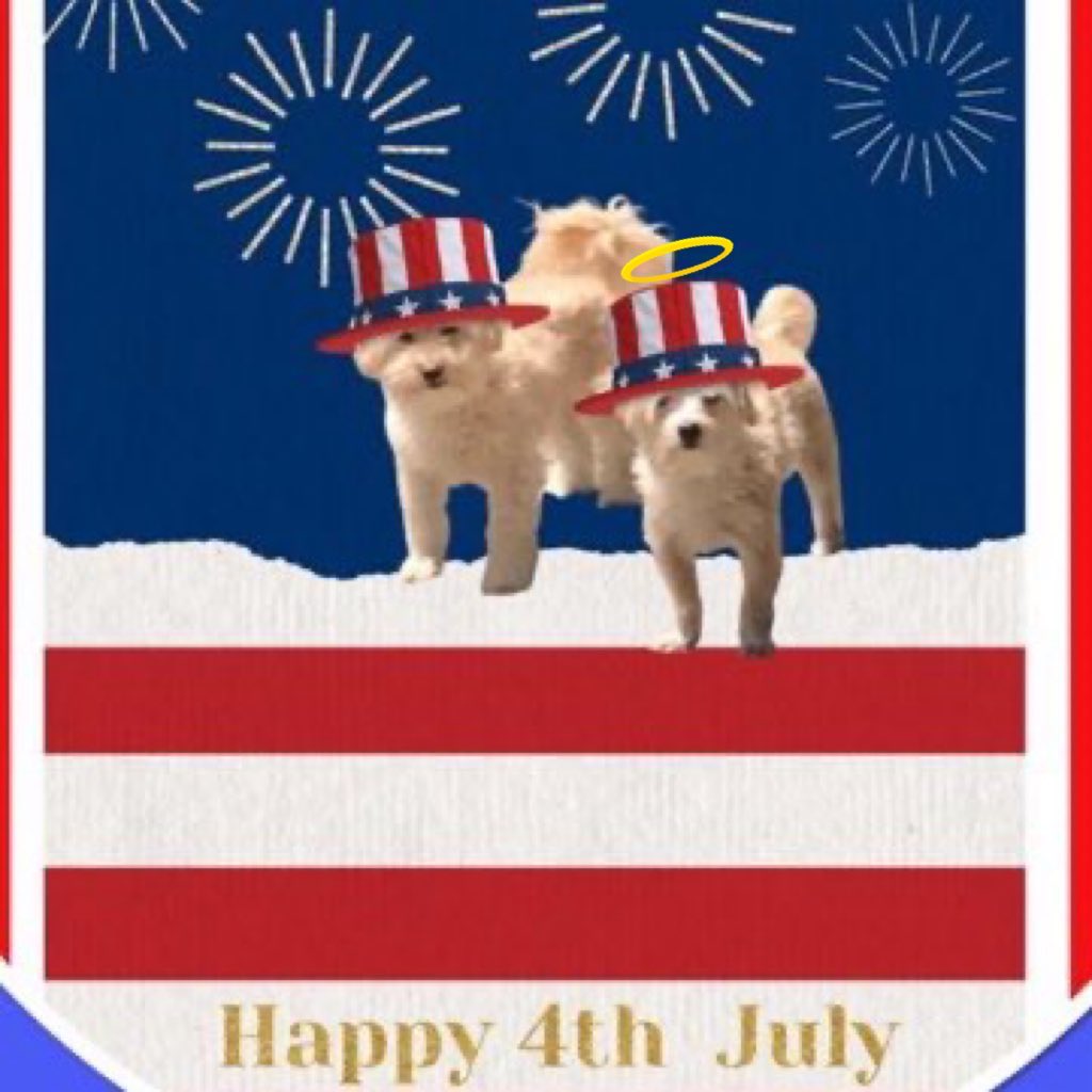Wishing all our fellow American pals a very Happy 4th of July!  Be safe, have fun, and keep us furbabies safely inside during neighborhood fireworks. Happy 249th birthday America!!🇺🇸

🇺🇸❤️🤍💙🇺🇸 #FourthOfJuly