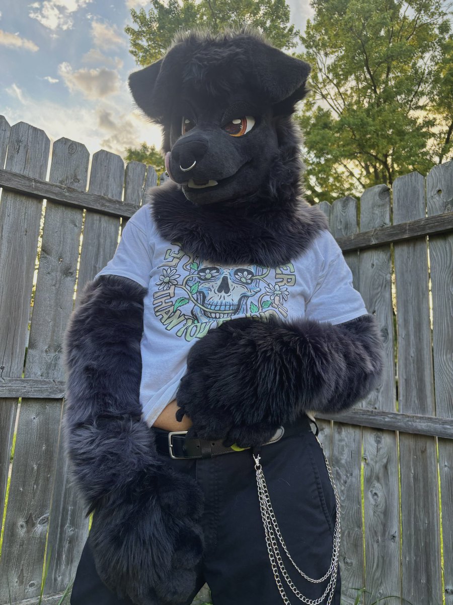 Bandit 🐕‍🦺🔞 tweet media