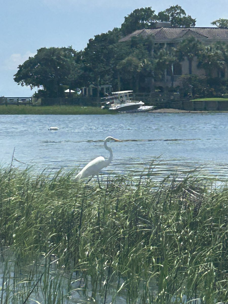 KindergartenRocks tweet media