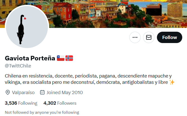 cuentas fake everywhere