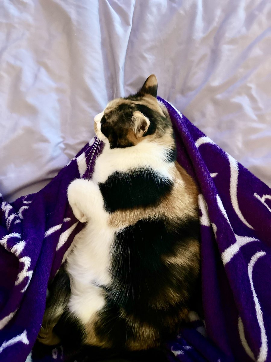Gabrielle Clark (@gabsclark5) on Twitter photo I have to go to work but I’m trapped. I have to go to work but I’m trapped.