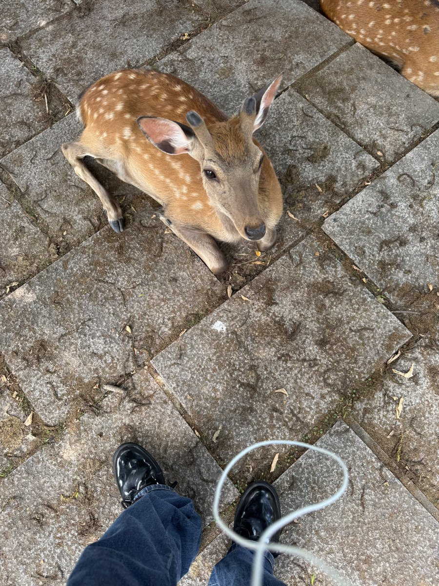 .<a href="/ericdoa/">americo</a>