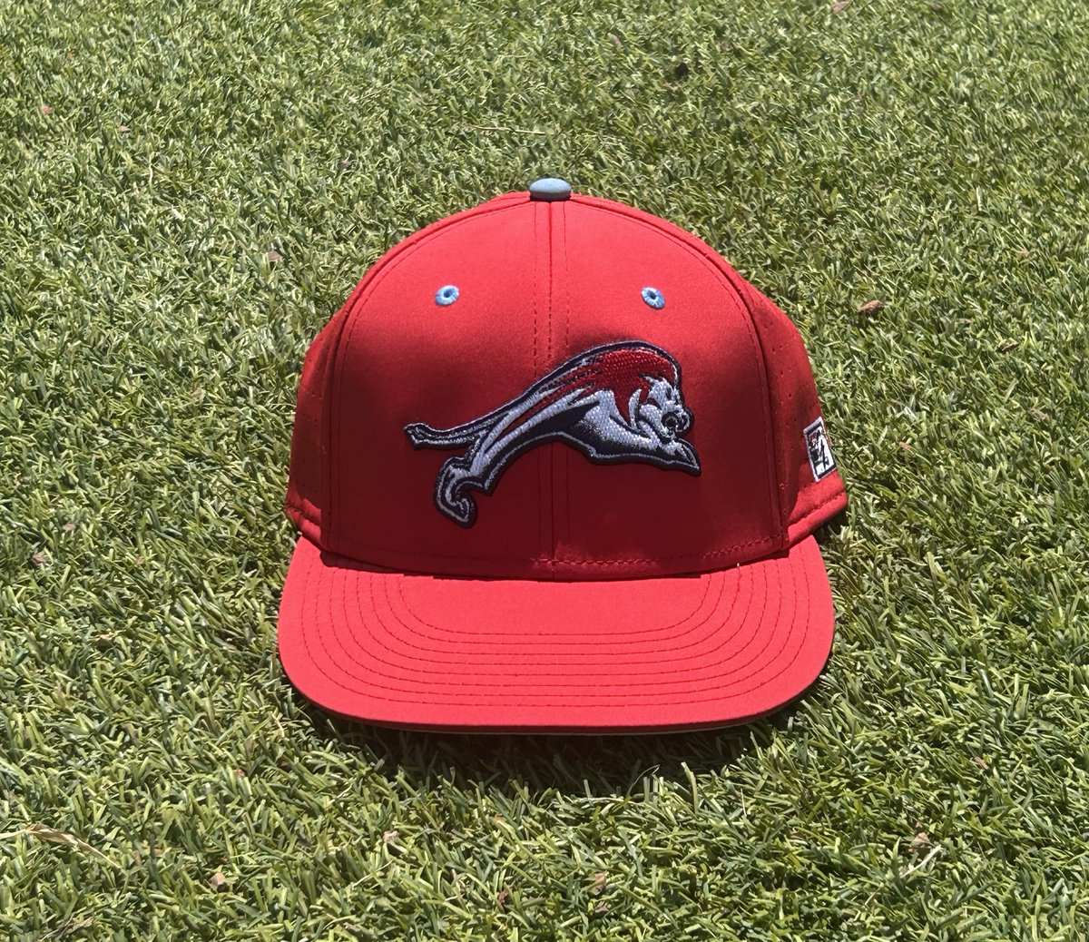 Jerry Albert tweet media