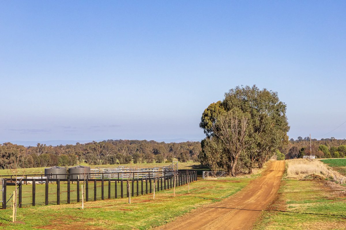 Andrew Dale tweet media