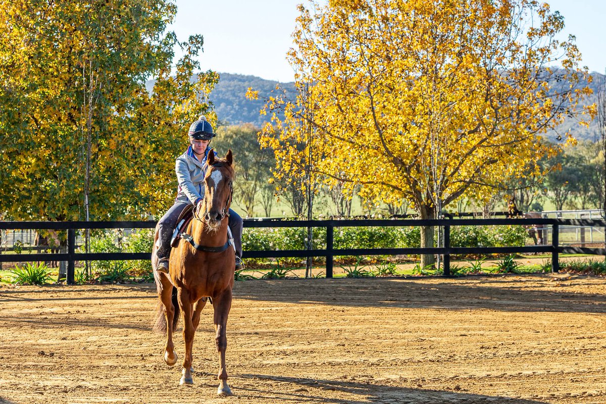 Andrew Dale tweet media