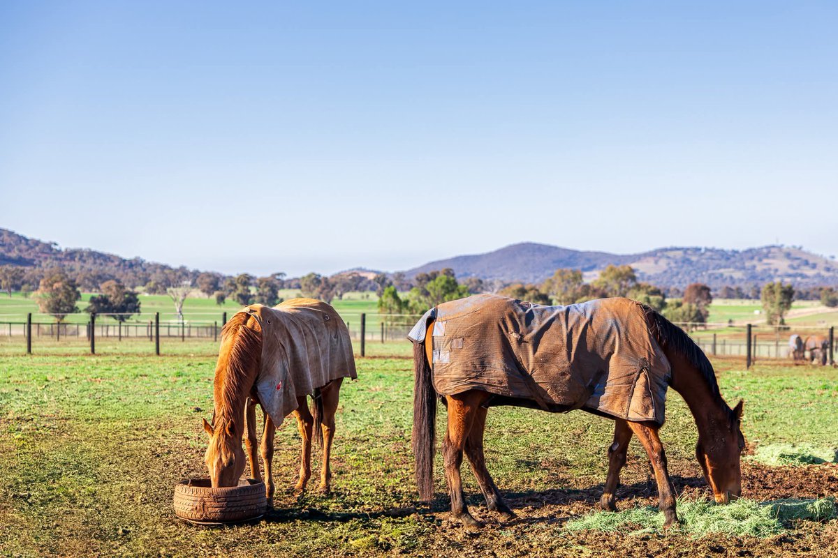 Andrew Dale tweet media