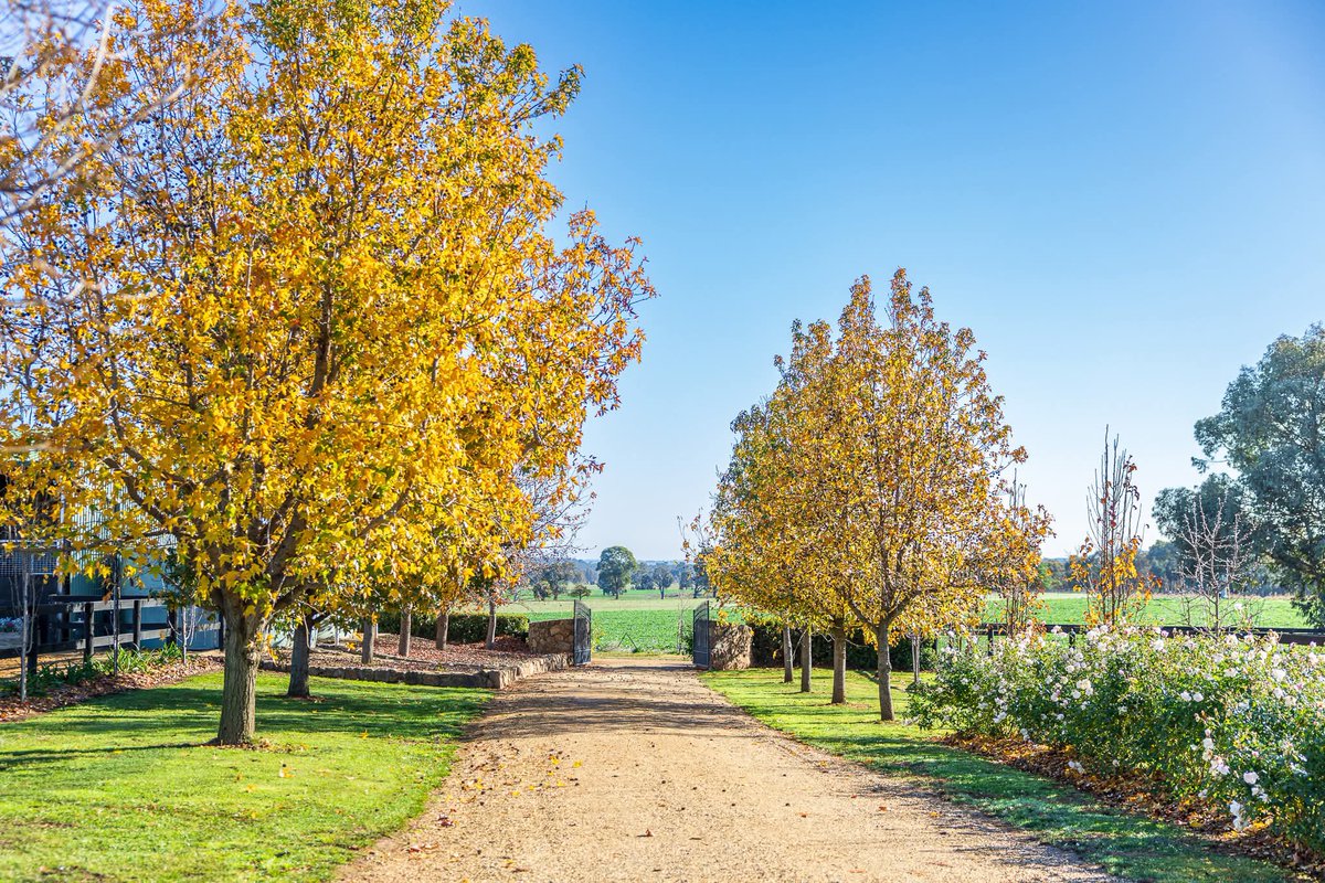 Andrew Dale tweet media