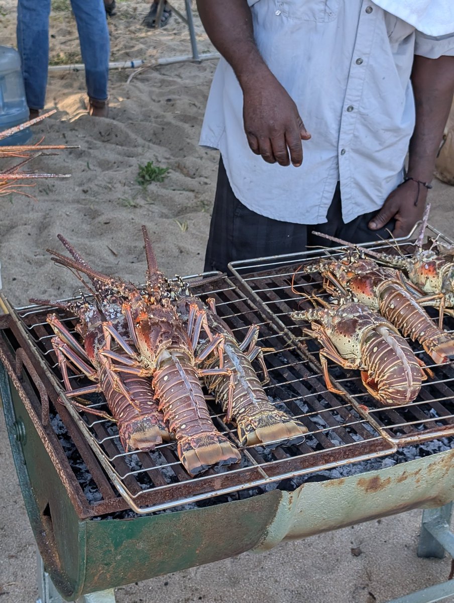 viking135's tweet image. #NotHome