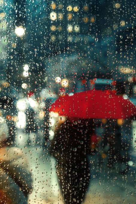 Silvia robayo tweet media