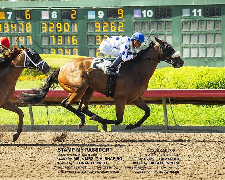 Leonard powell (@leopowellracing) on Twitter photo Stamp My Passport defeats open company for a 2nd time this year, under <a href="/JockeyHerrera/">Diego Herrera</a> , for Owner/Breeders Tom and Debbie Shapiro ! This Cal Bred son of <a href="/coolmoreamerica/">Coolmore America</a> Vancouver pushed his lifetime earnings past $200k. Congrats and Thanks all involved ! Stamp My Passport defeats open company for a 2nd time this year, under <a href="/JockeyHerrera/">Diego Herrera</a> , for Owner/Breeders Tom and Debbie Shapiro ! This Cal Bred son of <a href="/coolmoreamerica/">Coolmore America</a> Vancouver pushed his lifetime earnings past $200k. Congrats and Thanks all involved !