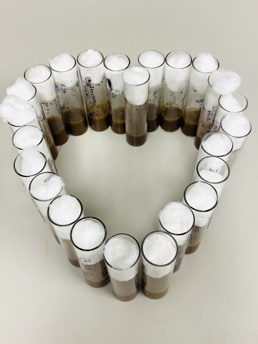 Genetic Combinations: All together @ Fly Genetics ❤️🪰