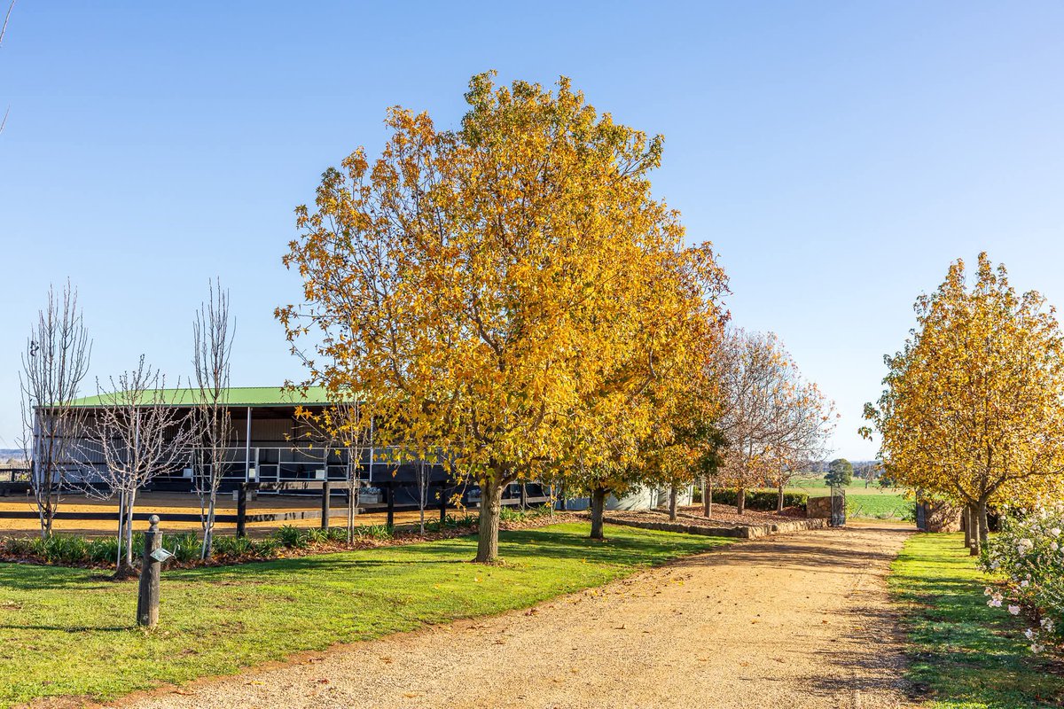 Andrew Dale tweet media