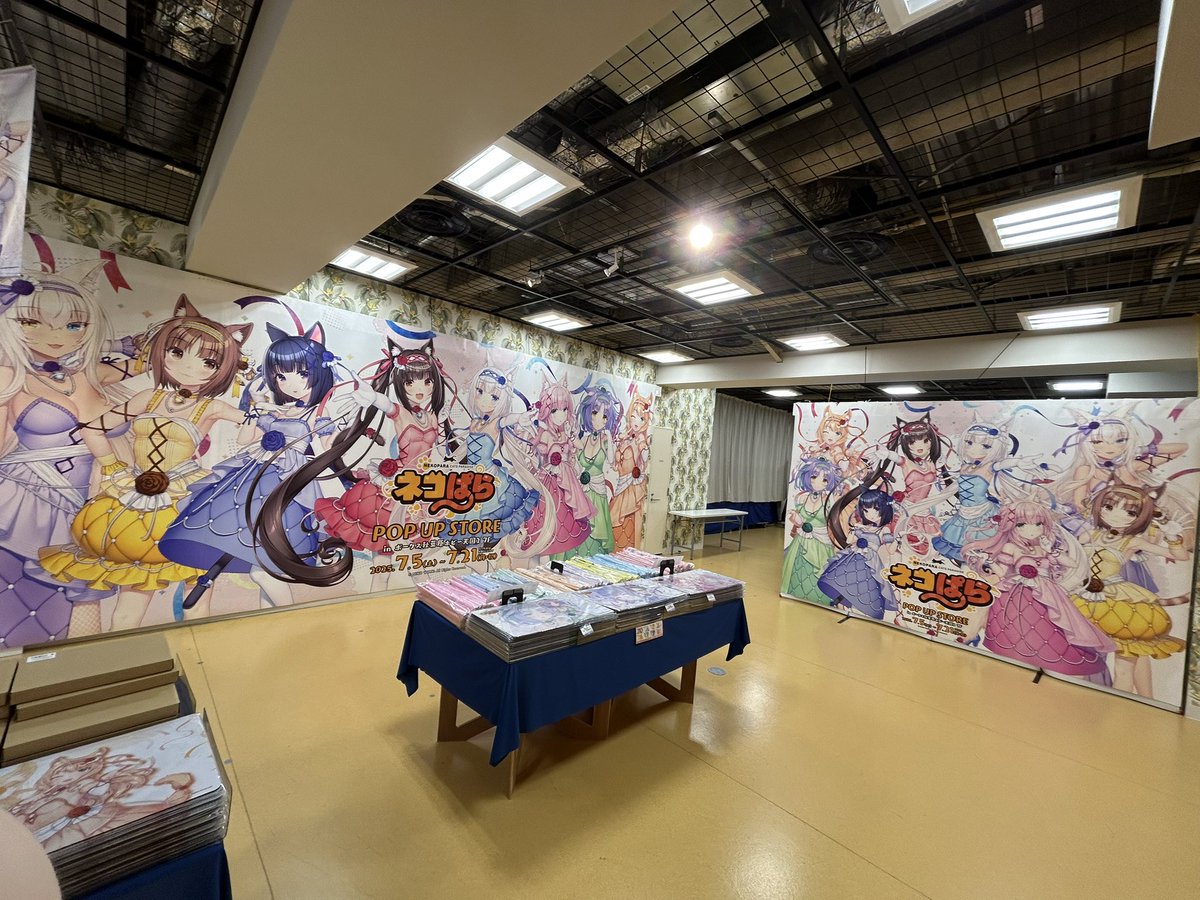 イベント情報】 本日≪#ネコぱら POP UP STORE in ボークス秋葉原
