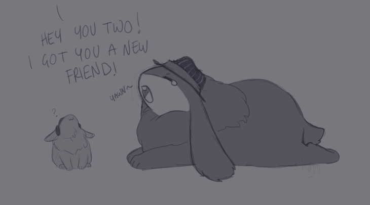 Double Fedora Rabbit Bunny fun. I don't know why but I just find these fun and relaxing to ...