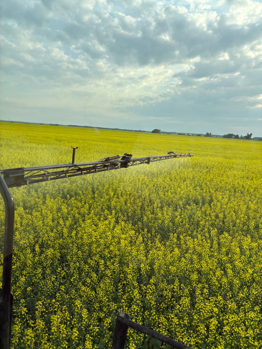 Been debating this on the farm lots. We have our own ground rig but.. 

For fungicide 

Ground rig 
Or 
Plane

Thought?