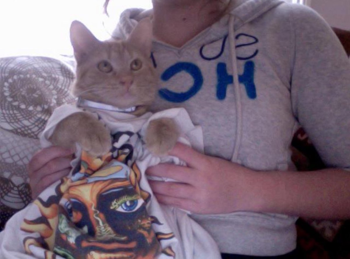 I’m so excited about this move to Texas, but I’d be lying if I said it didn’t feel bittersweet to leave behind the last home my Ollie cat lived in with me. Missing my little sunflower a bit extra today. 🖤🌻