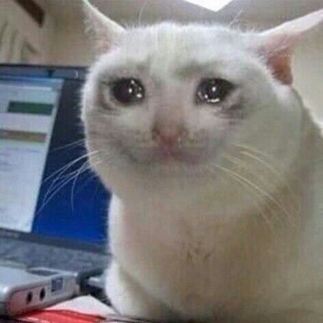 Issei3573's tweet image. Eu notando que o @BenjaminGodSex não me manda mais Vídeos Hentais no Discord: