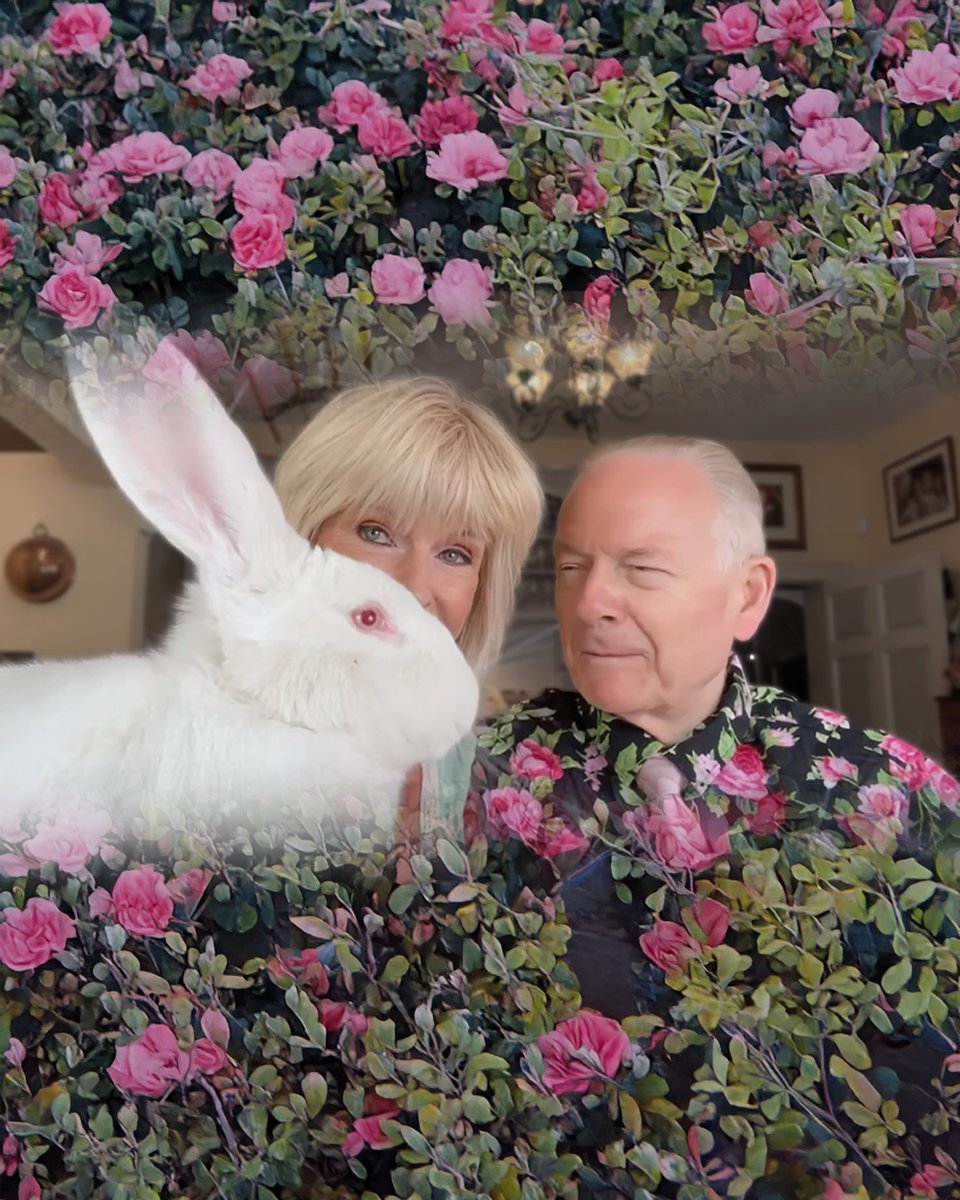 frippofficial's tweet image. Toyah & Robert's latest Upbeat Moments, feat. guest star Bunny Fripp, premieres today at 19:00 CEST.
And, a vintage Sunday Lunch tomorrow at 13:00 CEST.
On Toyah's official YouTube: youtube.com/toyahofficial
