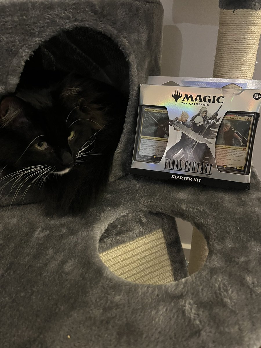Sooty is just as keen as I am to dive deep into the lore and flavour reasons behind some card choices in the Final Fantasy x MtG Starter kit! Video coming soon! #gifted